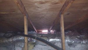 1457720706081.jpg | Wildlife Control Specialist of Atlanta More roofline damage caused by squirrels